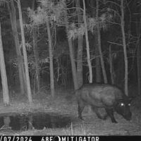 McCurtain County Oklahoma Hunting Property images 3