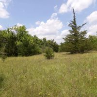 SMALL ACREAGE BIG BUCKS images 5