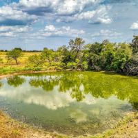 11500 Bowden Road Lipan Texas 76462 images 3