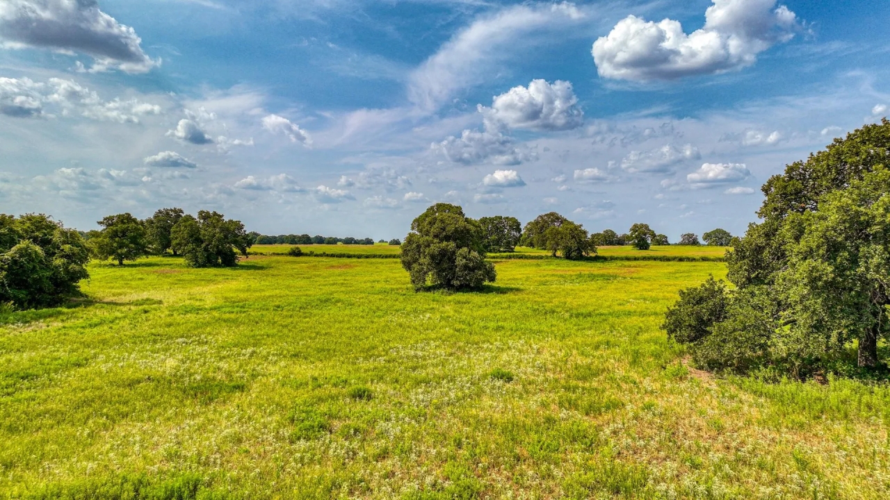 11500 Bowden Road Lipan Texas 76462 Hunting Land for Sale