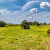 11500 Bowden Road Lipan Texas 76462 images 5