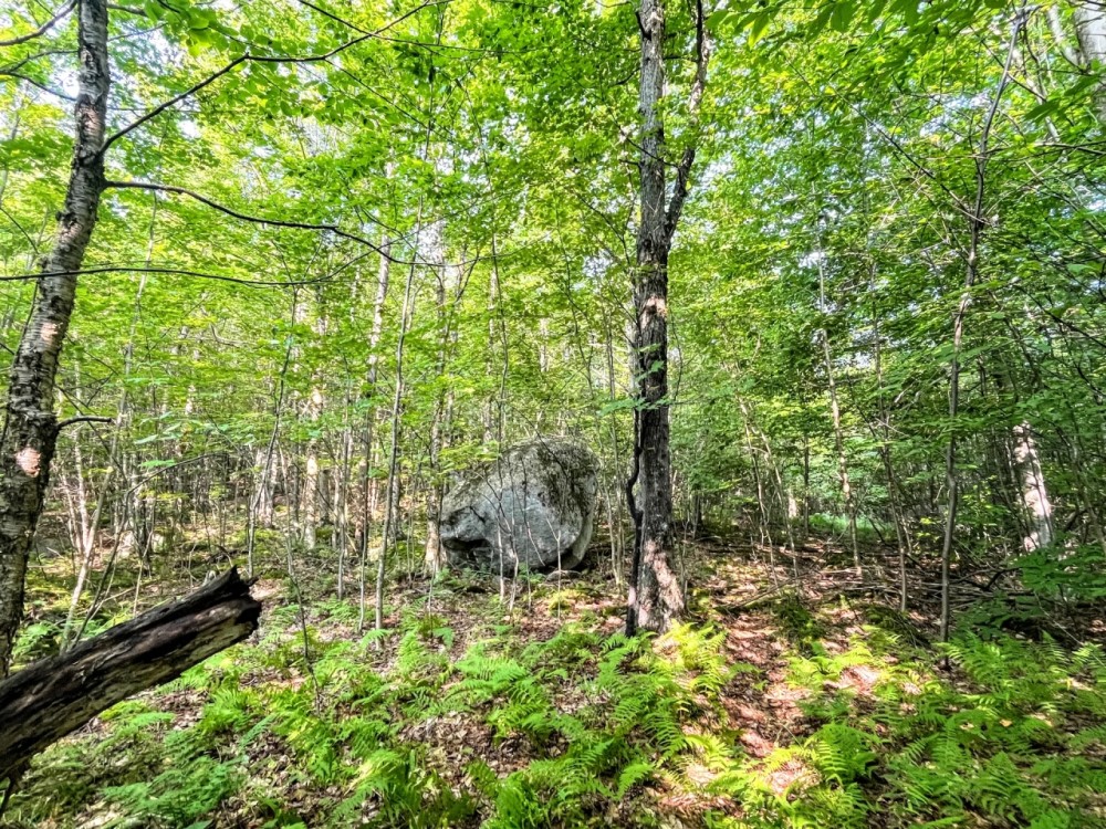 25 acres Wooded Hunting Land St. Regis Falls NY featured image