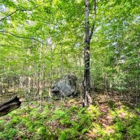 25 acres Wooded Hunting Land St. Regis Falls NY