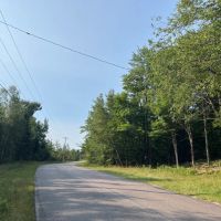25 acres Wooded Hunting Land St. Regis Falls NY images 3
