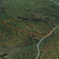 25 acres Wooded Hunting Land St. Regis Falls NY images 4