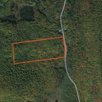 25 acres Wooded Hunting Land St. Regis Falls NY images 5