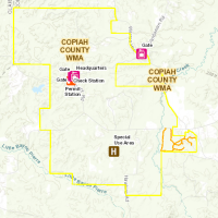 6,799-acres Copiah County WMA deer hunting land in Hazlehurst, MS