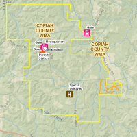 6,799-acres Copiah County WMA deer hunting land in Hazlehurst, MS images 3