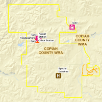 6,799-acres Copiah County WMA deer hunting land in Hazlehurst, MS images 6