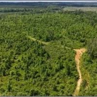71.6 Acres in Scott County in Morton MS images 2