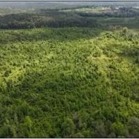 71.6 Acres in Scott County in Morton MS images 5