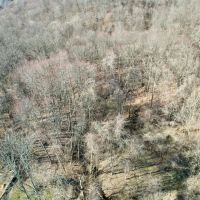 Malden Road Washington County - 22 acres images 3