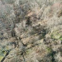 Malden Road Washington County - 22 acres images 4