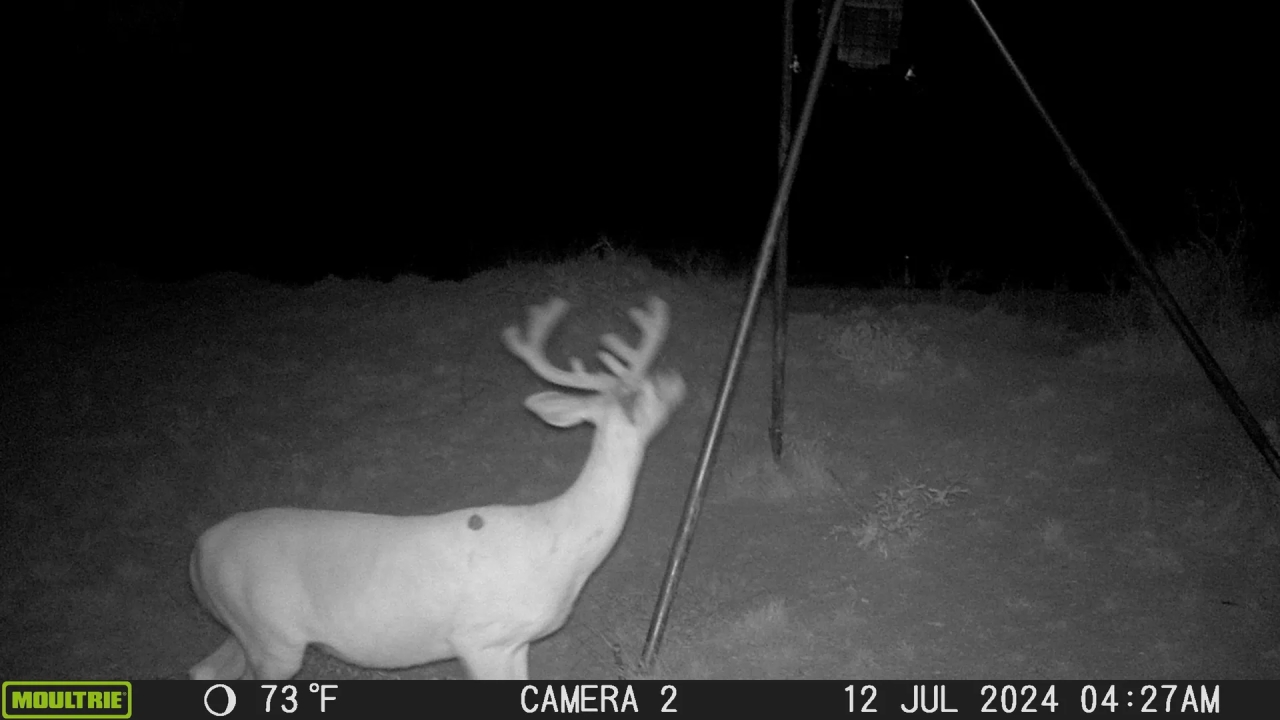 New Listing 26.34 Acres Brown County Hunting Land for Sale