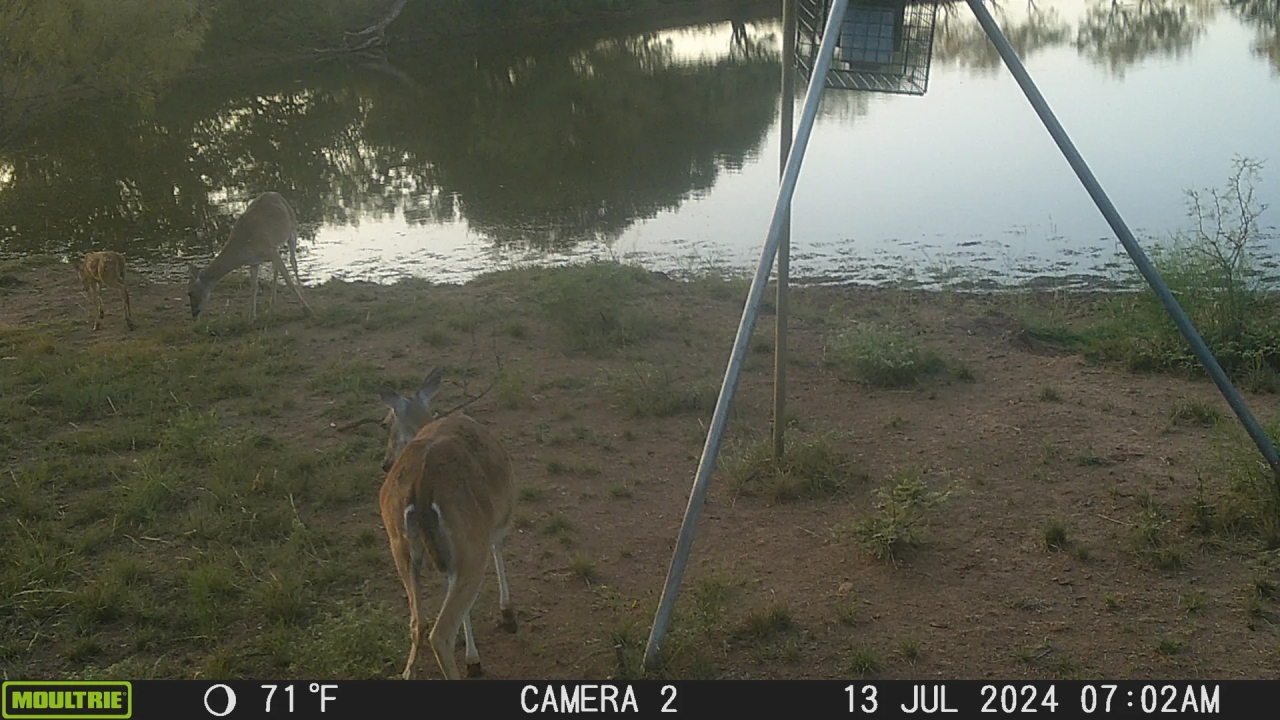 New Listing 26.34 Acres Brown County Hunting Land for Sale