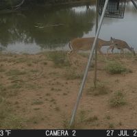 New Listing 26.34 - Acres Brown County images 5