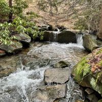 Listonburg Rd. Somerset County - 25 acres