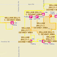 1,238 Acres duck hunting land in William C. (Billy) Deviney WMA Jackson, MS