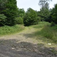 Pine Creek Paradise images 2