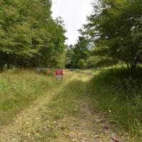 Pine Creek Paradise images 3