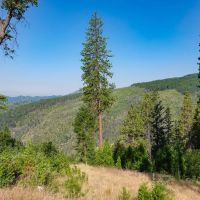 Buckhorn Creek Cabin images 3