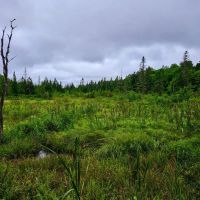 1340 Beaver Brook Rd - Corinth images 2