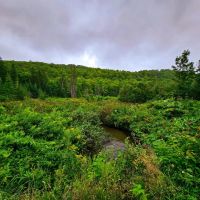 1340 Beaver Brook Rd - Corinth images 4