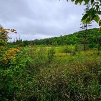 1340 Beaver Brook Rd - Corinth images 5