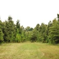 178 Acres with a Camp in Carroll County in Greenwood MS