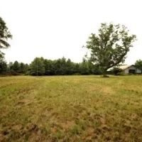 178 Acres with a Camp in Carroll County in Greenwood MS images 4