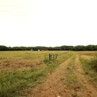 178 Acres with a Camp in Carroll County in Greenwood MS images 5