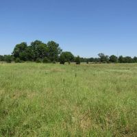 Kiamichi River Strategic Recreational Hunting Gem Sawyer Choctaw County OK 3 AC