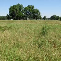 Kiamichi River Strategic Recreational Hunting Gem Sawyer Choctaw County OK 3 AC images 2