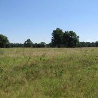 Kiamichi River Strategic Recreational Hunting Gem Sawyer Choctaw County OK 3 AC images 3