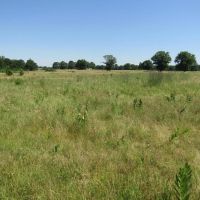 Kiamichi River Strategic Recreational Hunting Gem Sawyer Choctaw County OK 3 AC images 4