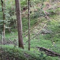 Route 136 Allegheny County -