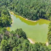 Hunting and Timberland for Sale in Claiborne County MS