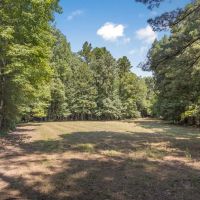 Hunting and Timberland for Sale in Claiborne County MS images 3