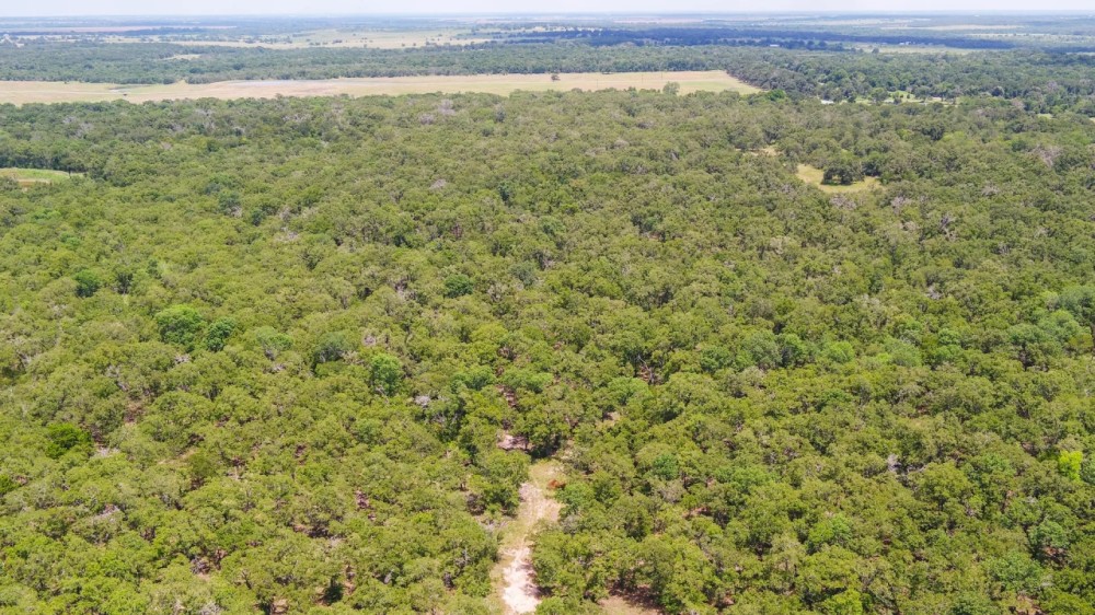 10 Acres in Milam County - Tract 9 featured image