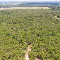 10 Acres in Milam County - Tract 9