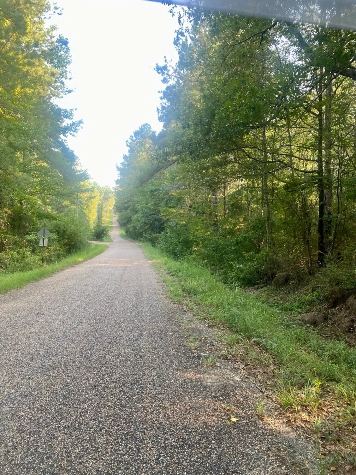40.72 acres Hulon Brister Rd Jayess Lawrence County MS featured image