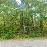 40.72 acres Hulon Brister Rd Jayess Lawrence County MS images 3