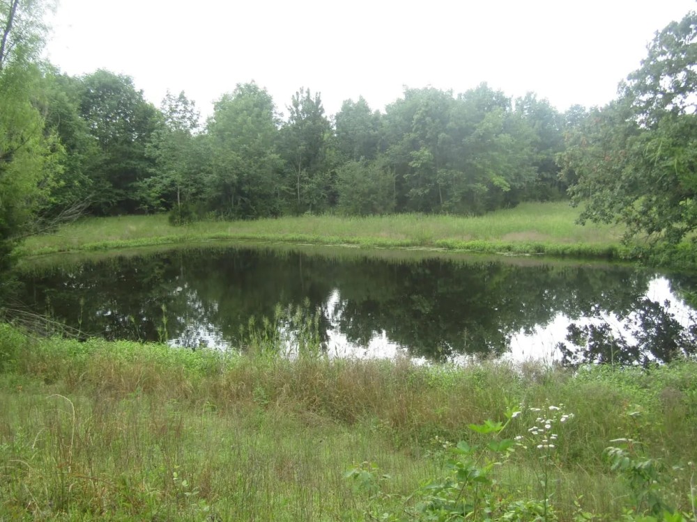 Amazing Business Opportunity Tract Choctaw County OK 6 AC featured image