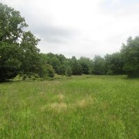Amazing Business Opportunity Tract Choctaw County OK 6 AC images 2