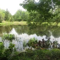Amazing Business Opportunity Tract Choctaw County OK 6 AC images 3