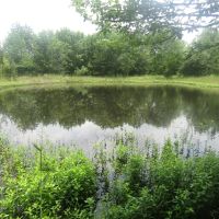 Amazing Business Opportunity Tract Choctaw County OK 6 AC images 4