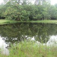 Amazing Business Opportunity Tract Choctaw County OK 6 AC images 5