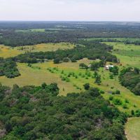 126 Acres in Lee County