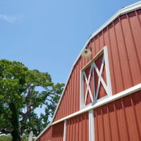 126 Acres in Lee County images 4