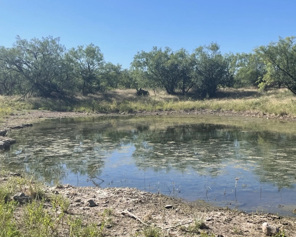 New Listing 20.6 - Acres Callahan County featured image
